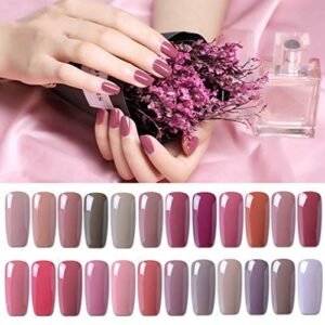 Clavuz Smalto Semipermente per Unghie in Gel UV LED 24pcs Set per Manicure Colori Smalti Gel per Unghie Soak Off