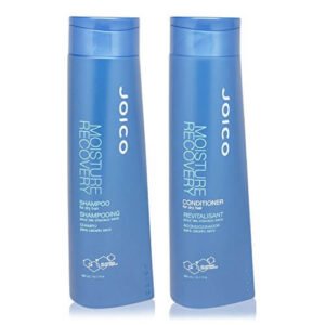 Joico Moisture Recovery Shampoo/Conditioner Duo 10.1 Oz. Bottles by Joico