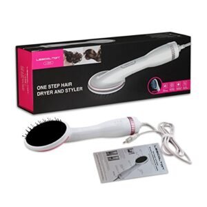 Spazzola Asciugacapelli, iFanze Asciugacapelli Professionale, Asciugacapelli Ioni Negativi, Asciugacapelli Ioni Professionale, asciugatura rapida e Lisciante Capelli, Aria Calda e Aria Freddo,1000W