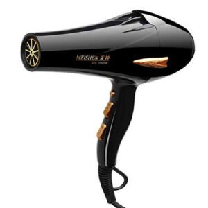 Hair Dryer Ibrido a casa Ioni negativi Asciugacapelli da 2000W Parrucchiere ad alta potenza Forniture per parrucchieri Muto