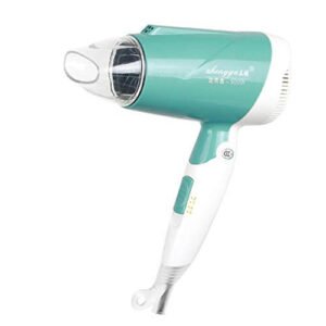 HEG-Asciugacapelli Dormitorio Piccolo di Potere del fon Portatile con i Mini Allievi 200w500w Piccolo 300w a casa 800w Basso (Color : Green)