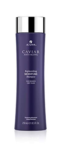 Alterna Moisture Shampoo - 250 ml