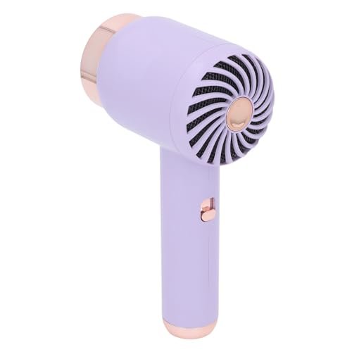 Asciugacapelli Ionici, Wireless da 1500 MAh, Tecnologia Ion (PURPLE)